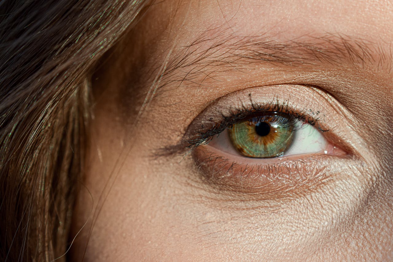 Best Lashes in Chicago, IL — 2026 Guide