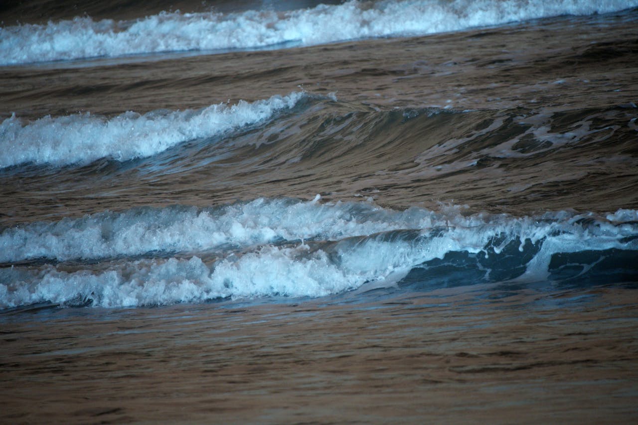 Best Lashes in College Park, MD — 2026 Guide