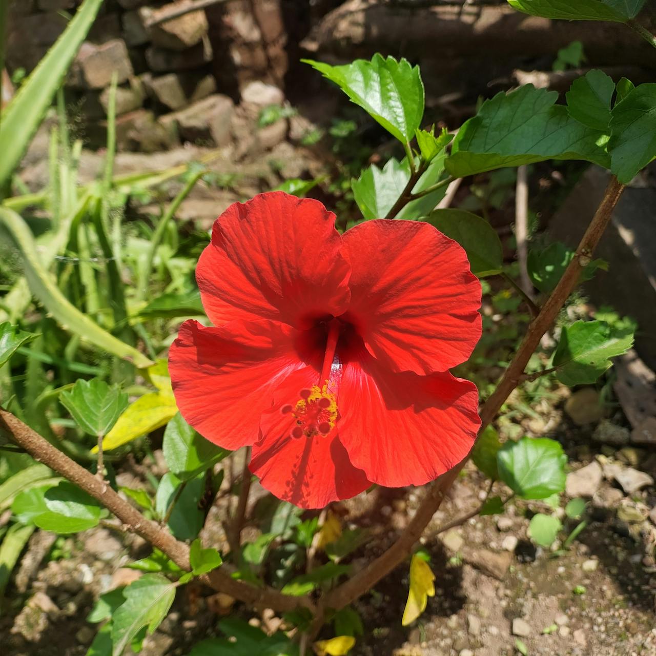 Best Lashes in Florida — 2026 Guide