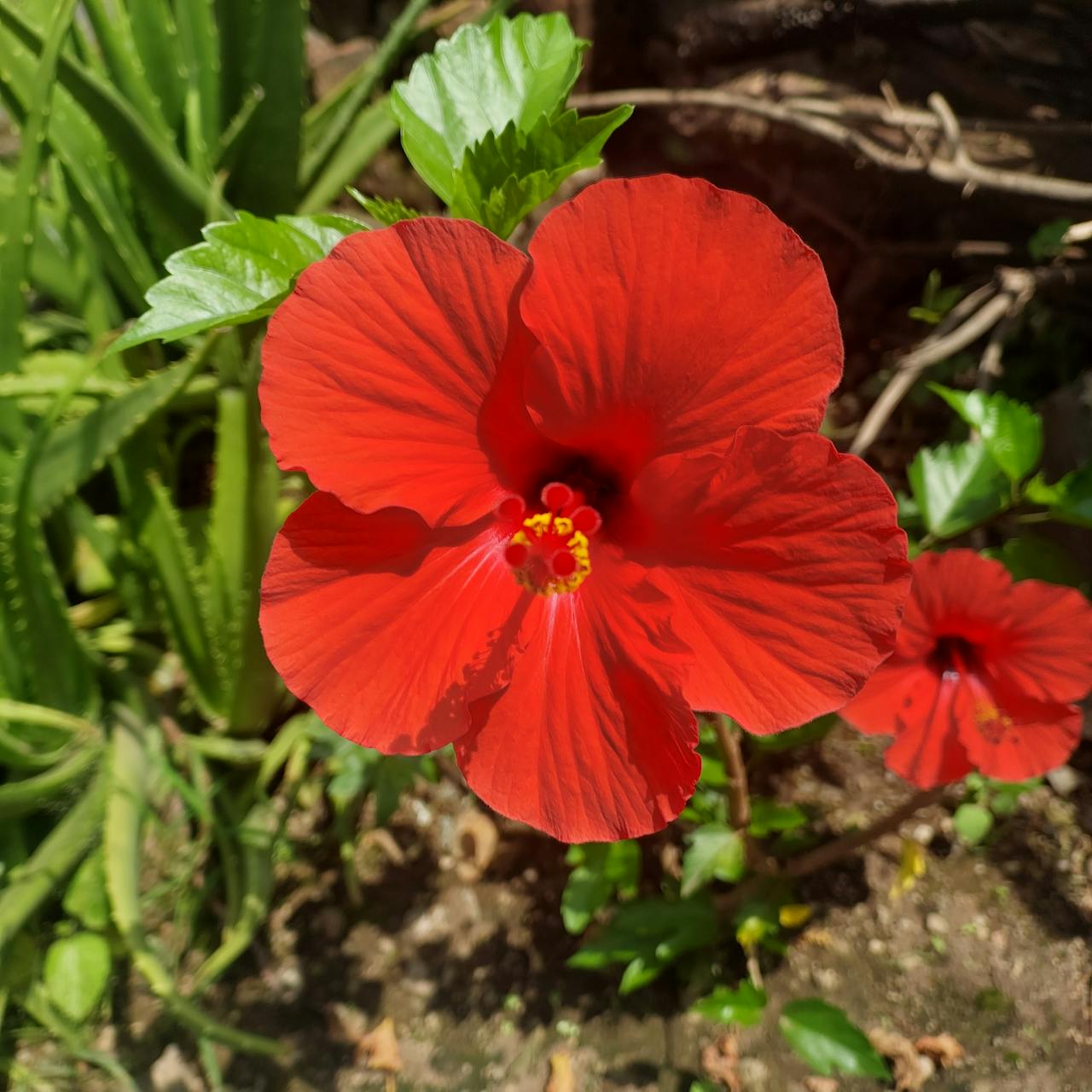 Best Lashes in Mesa, AZ — 2026 Guide