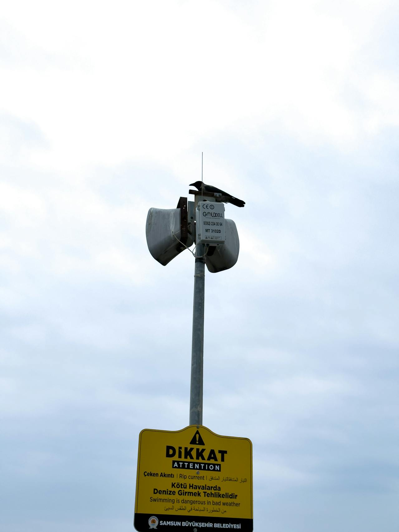 Best Lashes in New York — 2026 Guide