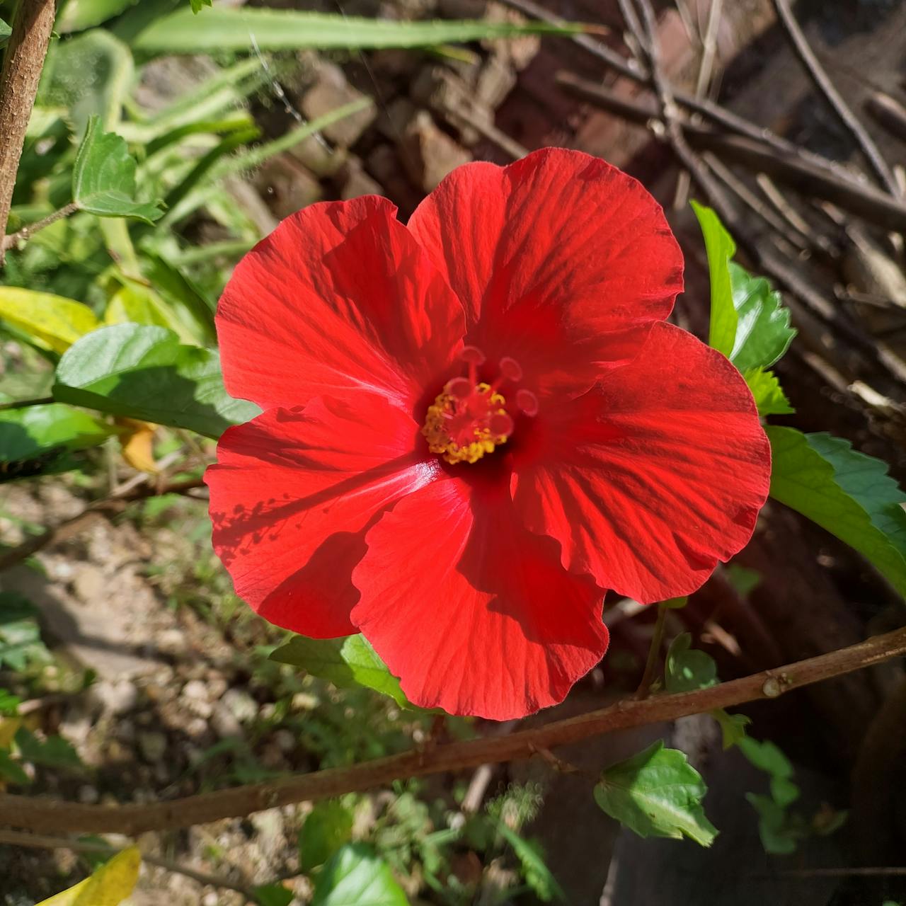 Top 14 Lashes & Brows Spots in California You Need to Visit