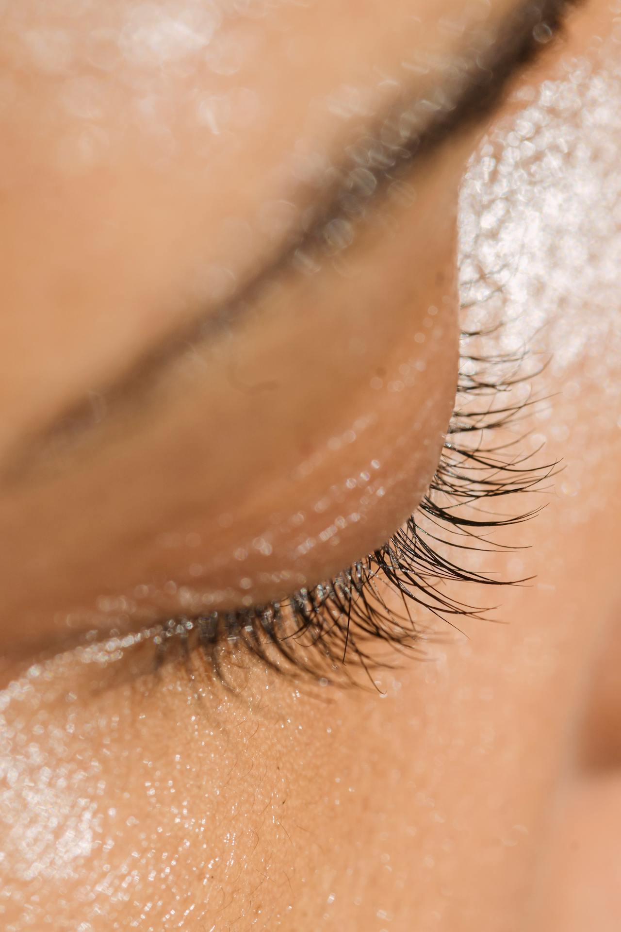 Top 4 Lashes & Brows Spots in Texas You Need to Visit